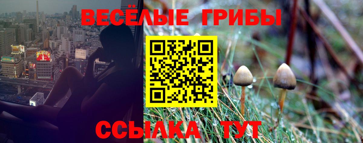 Псилоцибиновые грибы Magic Shrooms Ковров